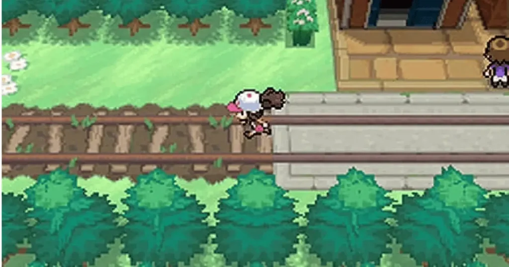 Pokémon Black Version-4